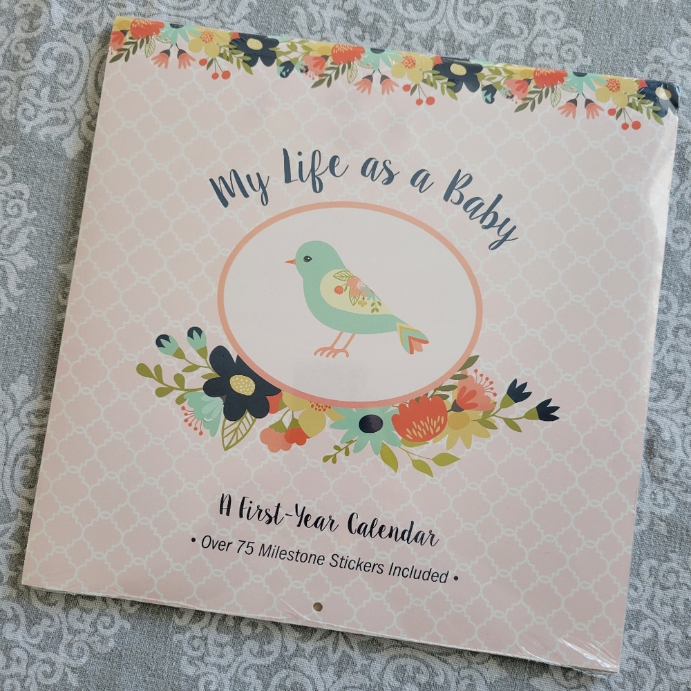 Baby's first year calendar
